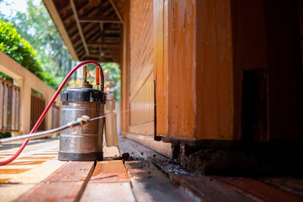 Best Best Pest Control Companies  in Plain City, OH