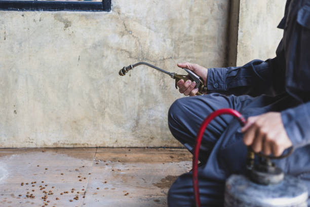 Best Residential Pest Control  in Plain City, OH